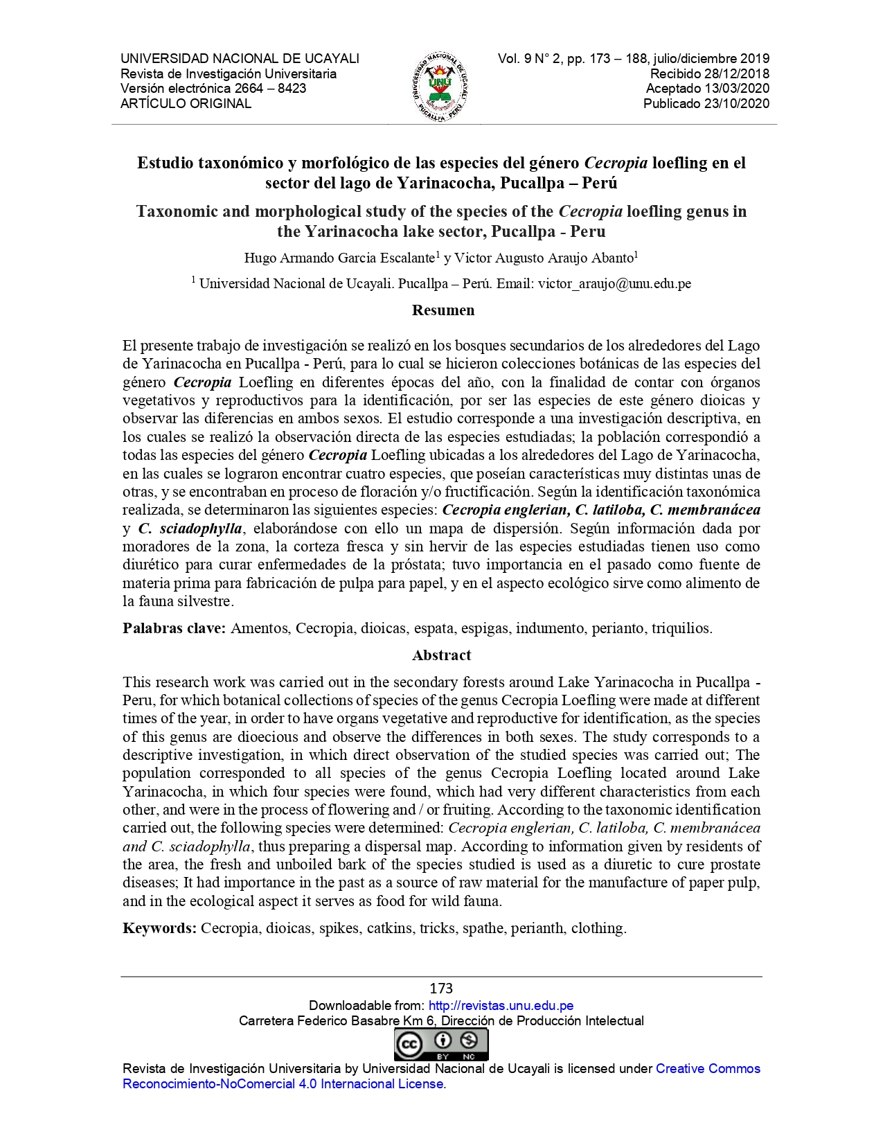 Estudio taxonómico y morfológico de las especies del género Cecropia loefling en el sector del lago de Yarinacocha, Pucallpa – Perú